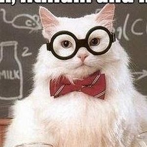 Meet your Posher, Hollie